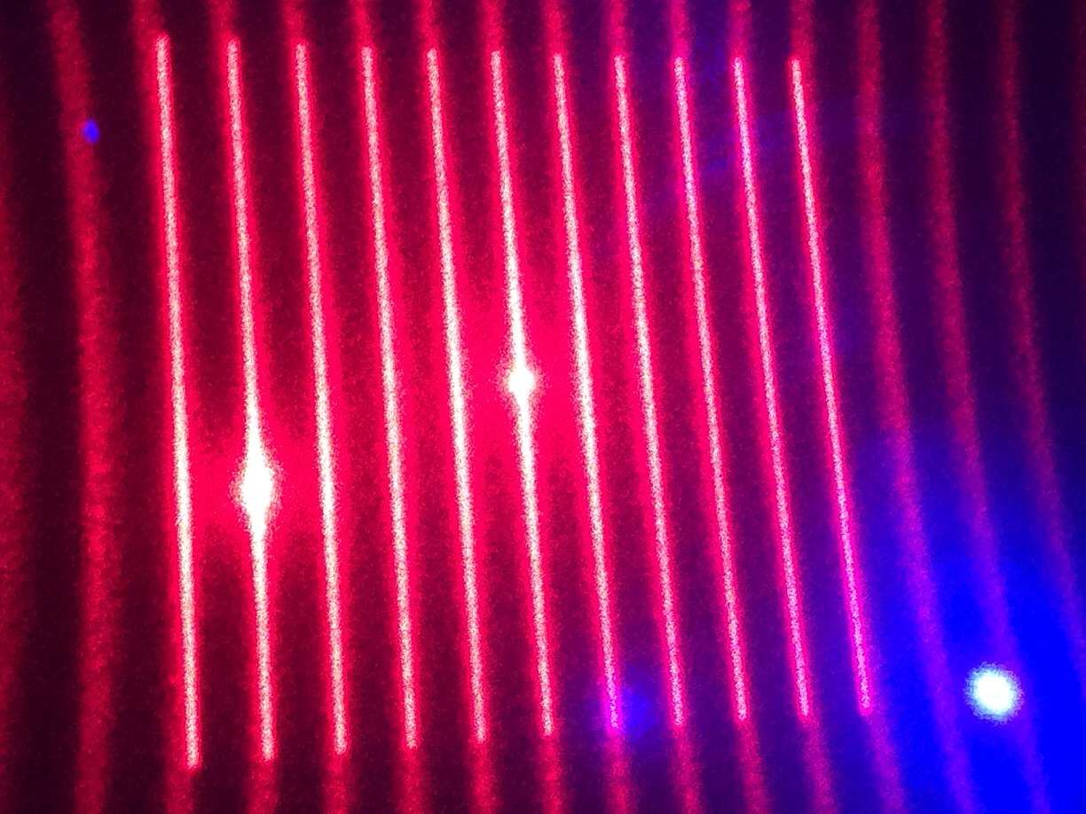 ˹Ƭ